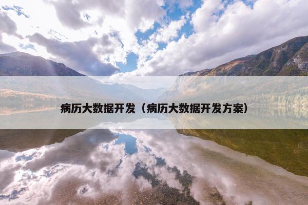 病历大数据开发（病历大数据开发方案）
