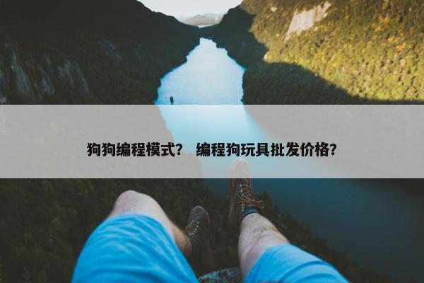 狗狗编程模式？ 编程狗玩具批发价格？