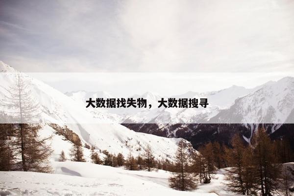 大数据找失物，大数据搜寻