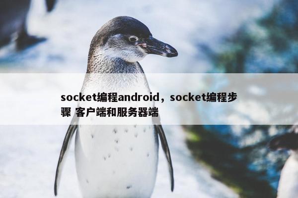 socket编程android，socket编程步骤 客户端和服务器端