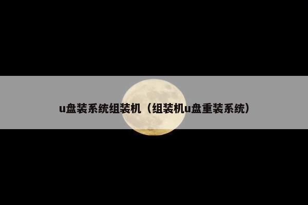 u盘装系统组装机（组装机u盘重装系统）