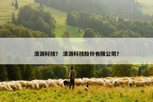 清源科技？ 清源科技股份有限公司？