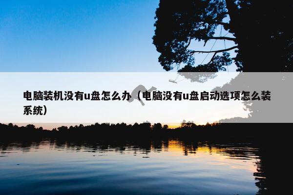 电脑装机没有u盘怎么办（电脑没有u盘启动选项怎么装系统）