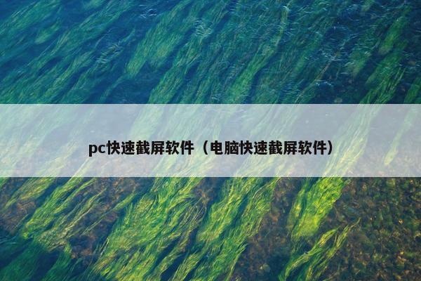 pc快速截屏软件（电脑快速截屏软件）