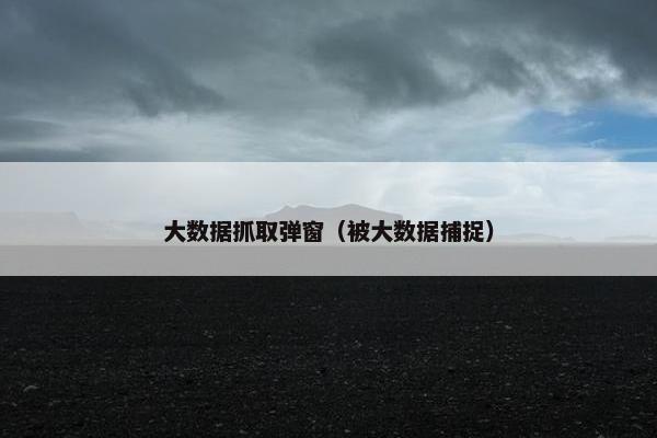 大数据抓取弹窗（被大数据捕捉）