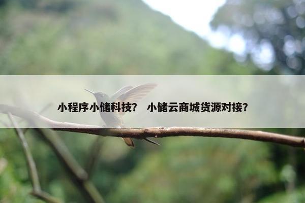 小程序小储科技？ 小储云商城货源对接？