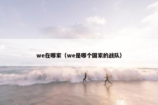 we在哪家（we是哪个国家的战队）