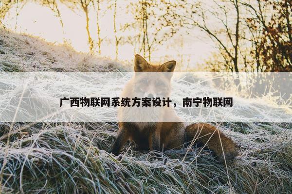 广西物联网系统方案设计，南宁物联网