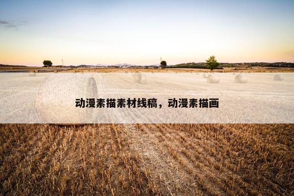 动漫素描素材线稿，动漫素描画