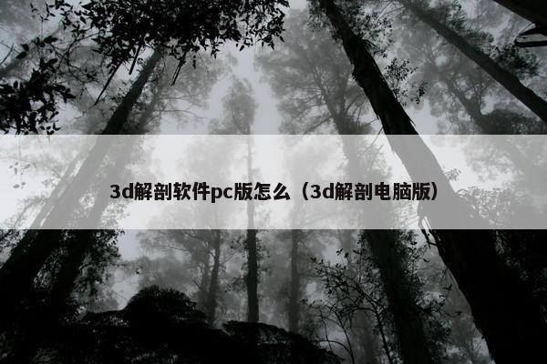 3d解剖软件pc版怎么（3d解剖电脑版）