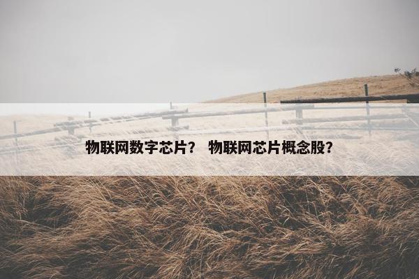 物联网数字芯片？ 物联网芯片概念股？