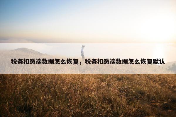 税务扣缴端数据怎么恢复，税务扣缴端数据怎么恢复默认