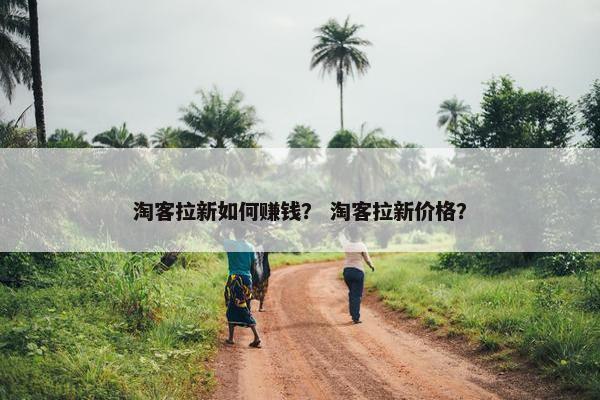 淘客拉新如何赚钱？ 淘客拉新价格？