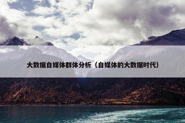 大数据自媒体群体分析（自媒体的大数据时代）