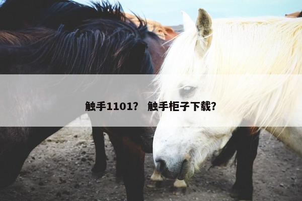 触手1101？ 触手柜子下载？