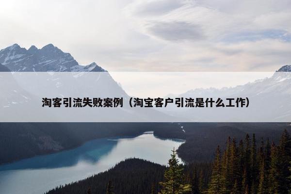 淘客引流失败案例（淘宝客户引流是什么工作）