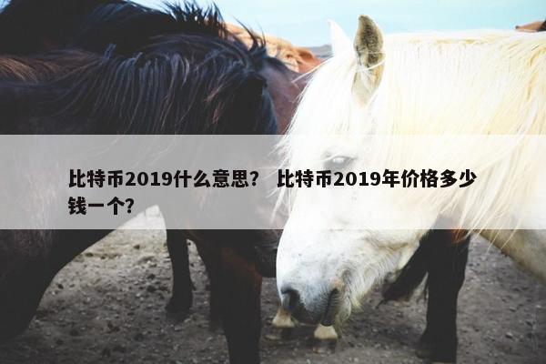 比特币2019什么意思？ 比特币2019年价格多少钱一个？