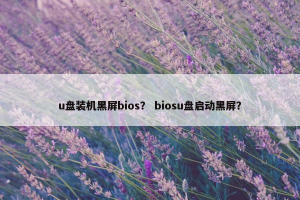 u盘装机黑屏bios？ biosu盘启动黑屏？