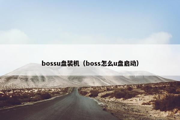bossu盘装机（boss怎么u盘启动）