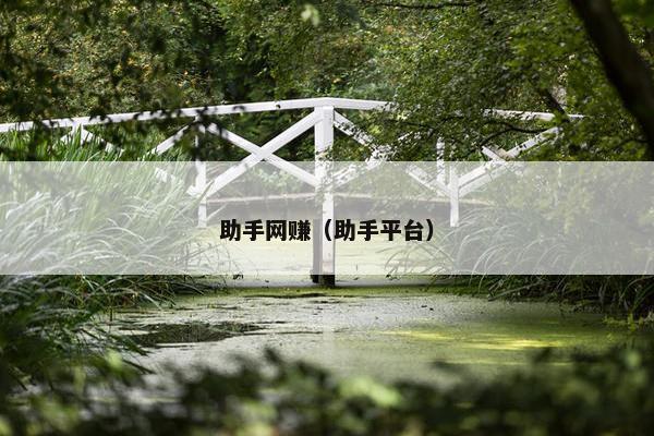 助手网赚（助手平台）