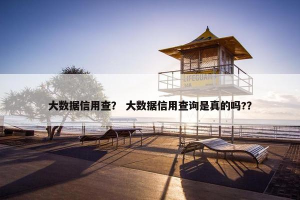 大数据信用查？ 大数据信用查询是真的吗?？
