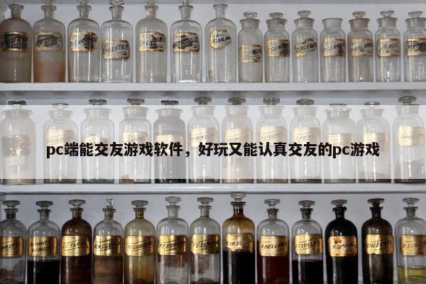 pc端能交友游戏软件，好玩又能认真交友的pc游戏