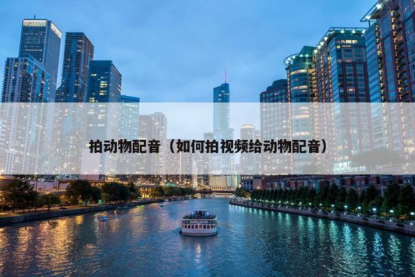 拍动物配音（如何拍视频给动物配音）