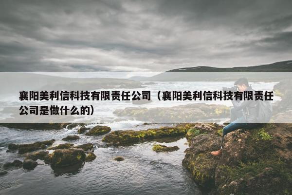 襄阳美利信科技有限责任公司（襄阳美利信科技有限责任公司是做什么的）