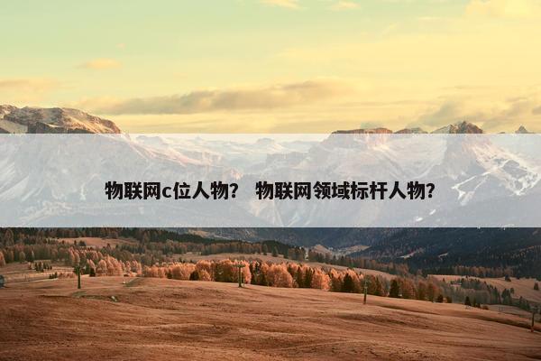 物联网c位人物？ 物联网领域标杆人物？