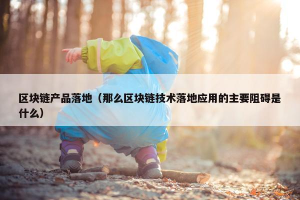 区块链产品落地（那么区块链技术落地应用的主要阻碍是什么）