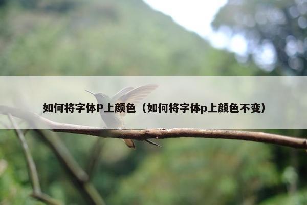如何将字体P上颜色（如何将字体p上颜色不变）