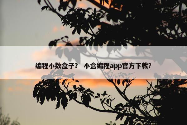 编程小数盒子？ 小盒编程app官方下载？