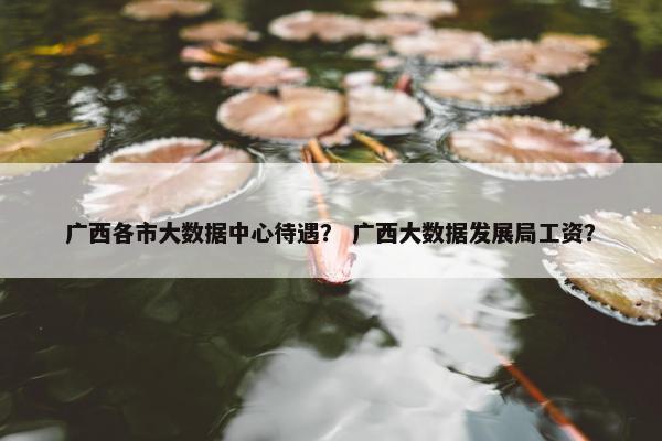 广西各市大数据中心待遇？ 广西大数据发展局工资？