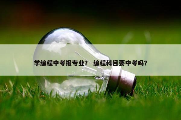学编程中考报专业？ 编程科目要中考吗？