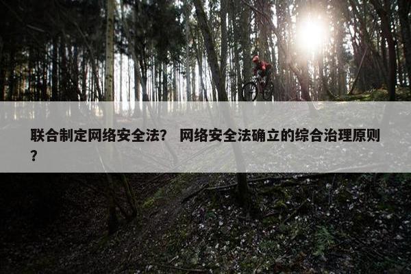 联合制定网络安全法？ 网络安全法确立的综合治理原则？
