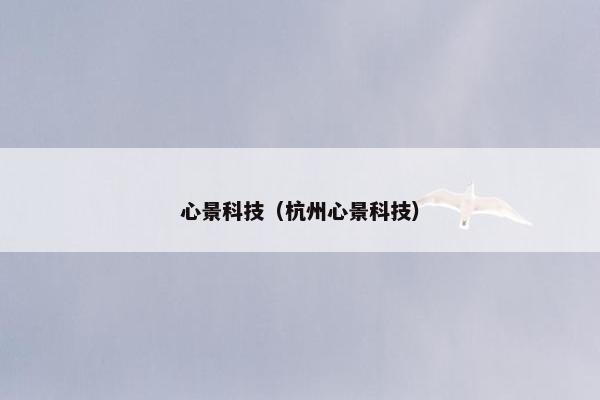 心景科技（杭州心景科技）
