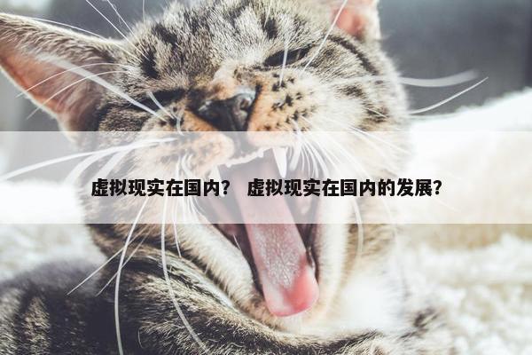 虚拟现实在国内？ 虚拟现实在国内的发展？