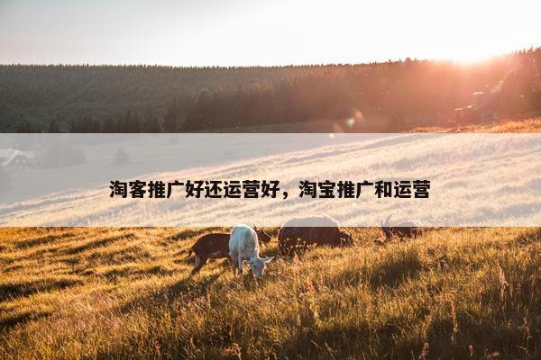 淘客推广好还运营好，淘宝推广和运营