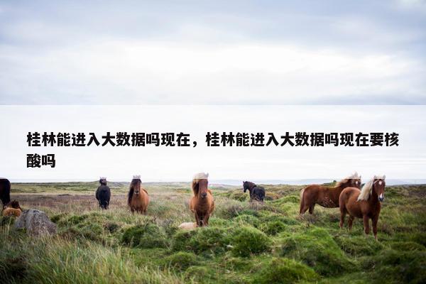 桂林能进入大数据吗现在，桂林能进入大数据吗现在要核酸吗