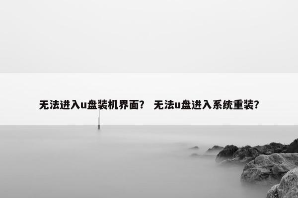 无法进入u盘装机界面？ 无法u盘进入系统重装？