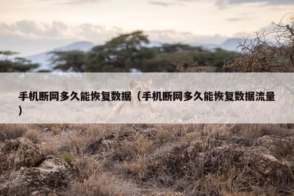 手机断网多久能恢复数据（手机断网多久能恢复数据流量）
