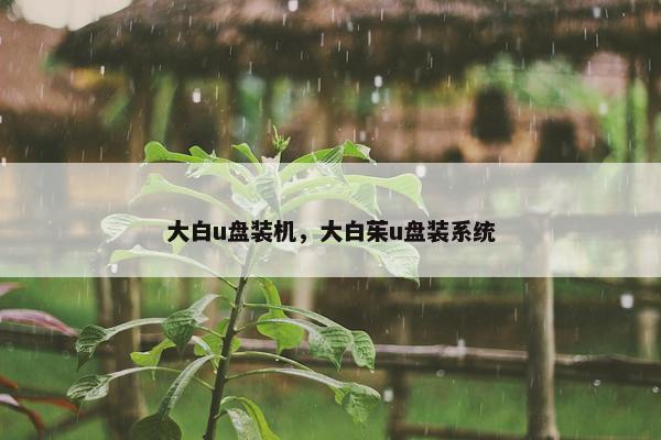 大白u盘装机，大白茱u盘装系统