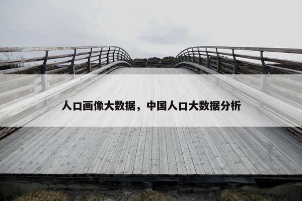 人口画像大数据，中国人口大数据分析