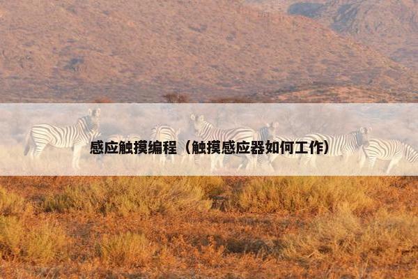 感应触摸编程（触摸感应器如何工作）