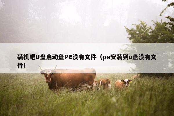 装机吧U盘启动盘PE没有文件（pe安装到u盘没有文件）