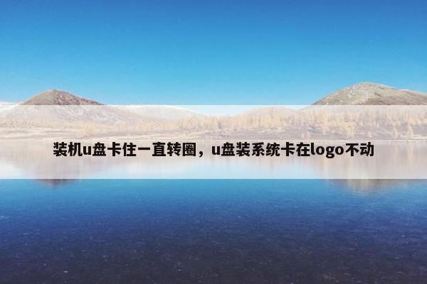 装机u盘卡住一直转圈，u盘装系统卡在logo不动