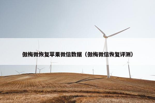 傲梅微恢复苹果微信数据（傲梅微信恢复评测）
