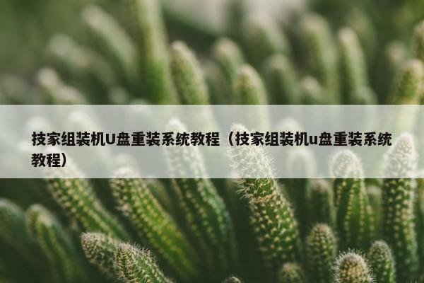 技家组装机U盘重装系统教程（技家组装机u盘重装系统教程）