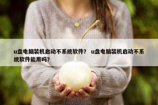 u盘电脑装机启动不系统软件？ u盘电脑装机启动不系统软件能用吗？
