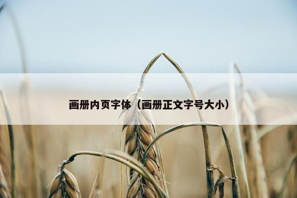 画册内页字体（画册正文字号大小）